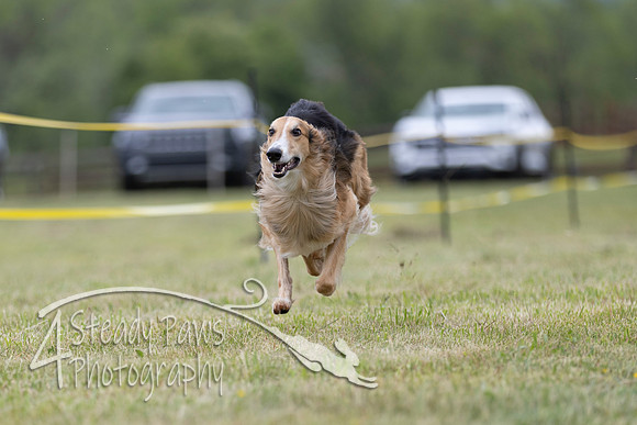 FastDash102