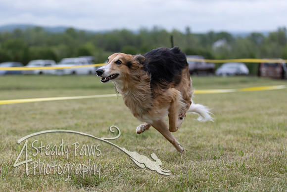 FastDash106