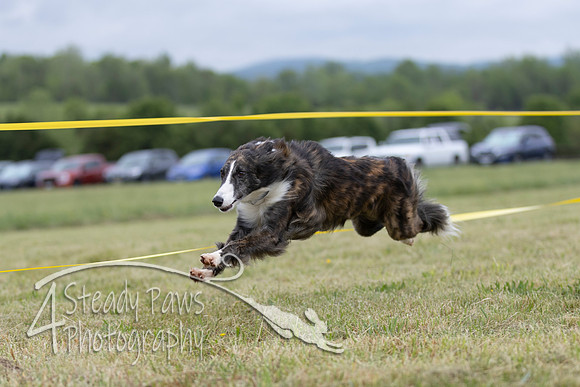 FastDash42