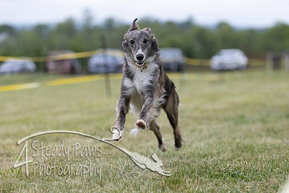 FastDash144