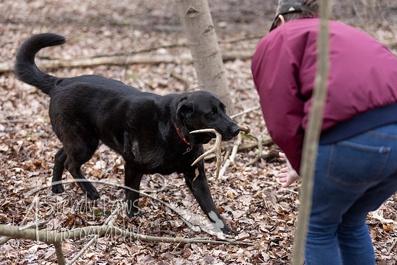 ShedHuntSat164