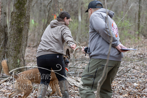 ShedHuntSat119