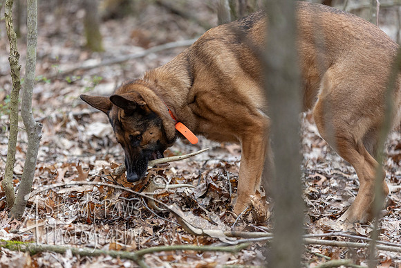 ShedHuntSat120