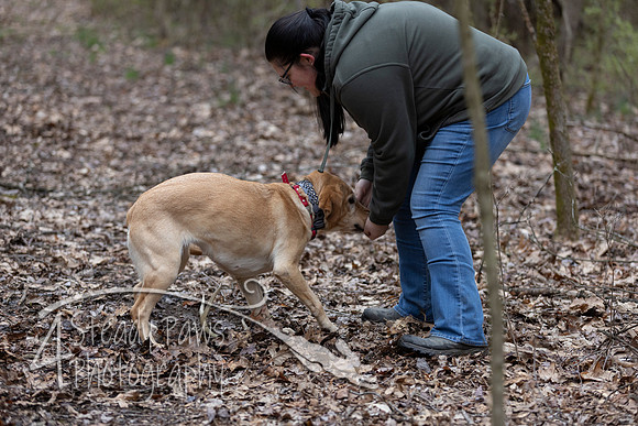 ShedHuntSat53