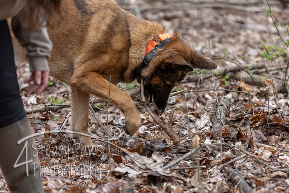 ShedHuntSat124