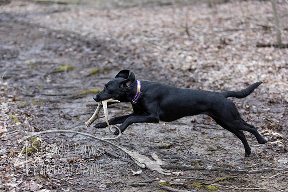 ShedHuntSat38