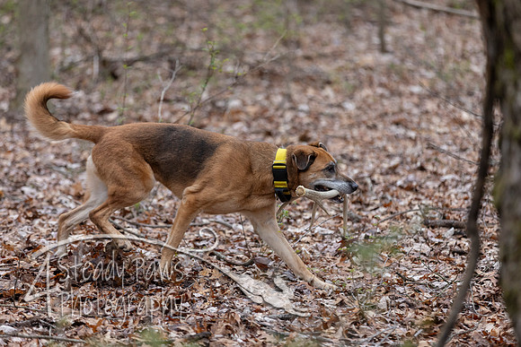ShedHuntSat18