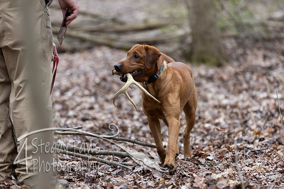 ShedHuntSat197
