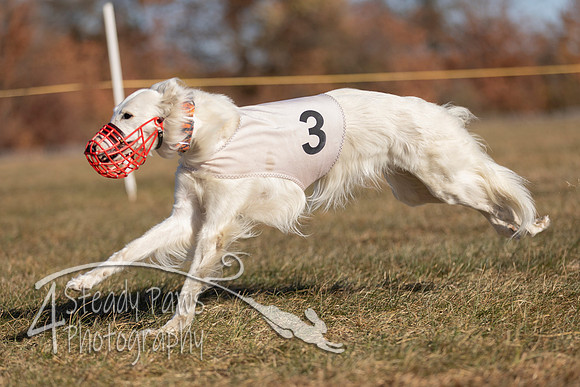 AutumnDerby126