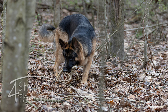 ShedHuntSat170