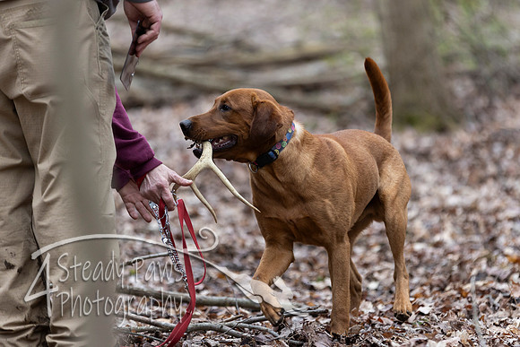 ShedHuntSat198