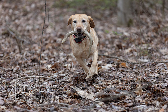 ShedHuntSat72