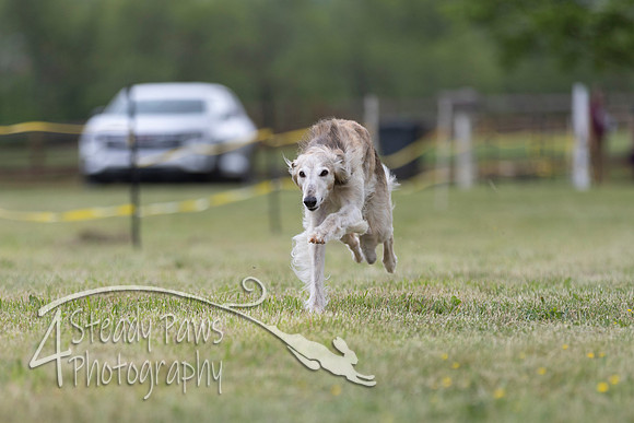 FastDash131