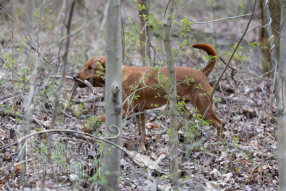 ShedHuntSat188