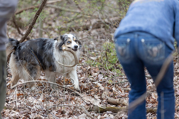 ShedHuntSat114