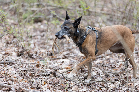 ShedHuntSat147