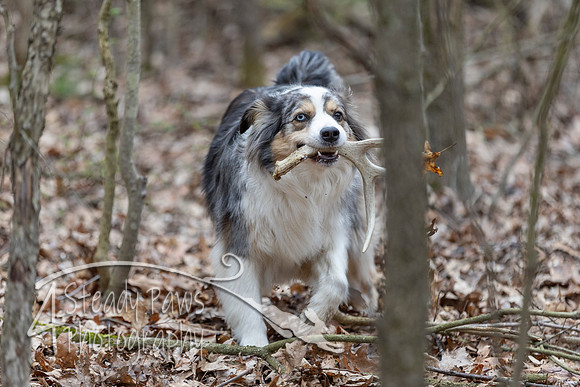 ShedHuntSat104