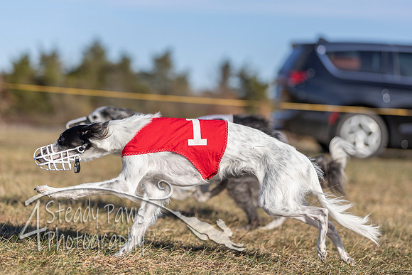 AutumnDerby38