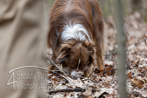 ShedHuntSat219