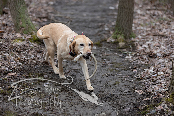 ShedHuntSat55