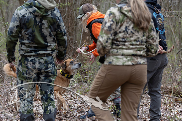 ShedHuntSat14