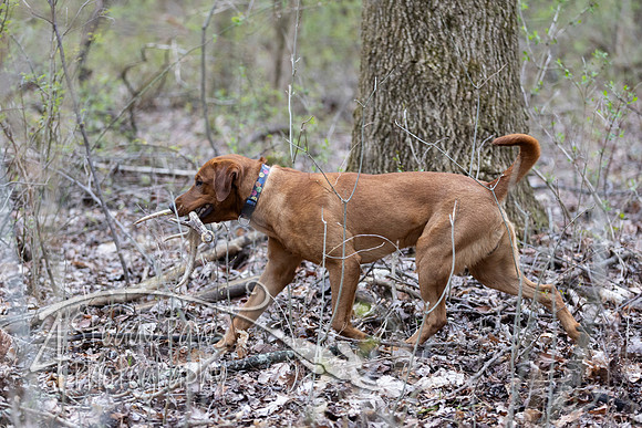 ShedHuntSat189