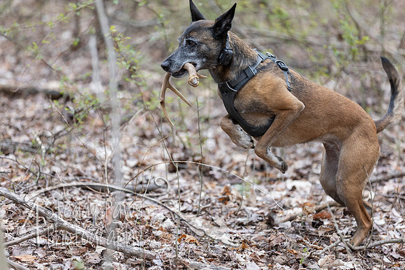 ShedHuntSat148