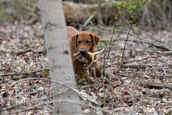 ShedHuntSat191