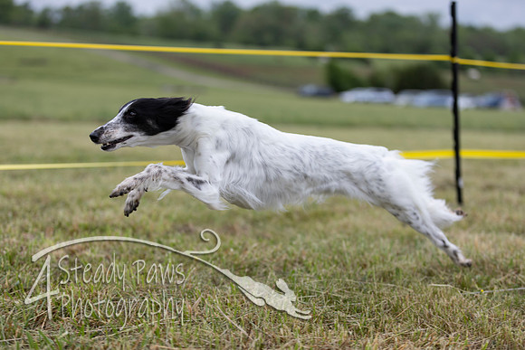 FastDash22