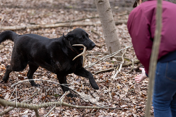 ShedHuntSat163