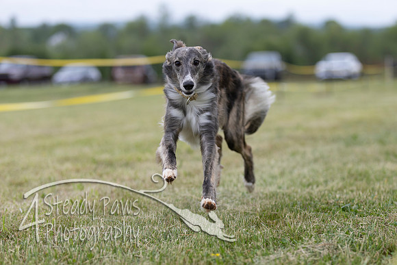 FastDash145
