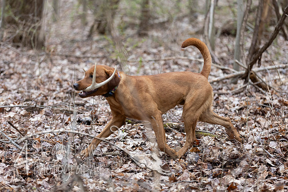 ShedHuntSat202