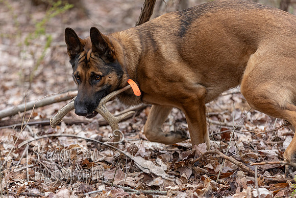 ShedHuntSat125