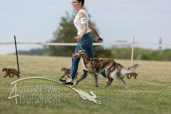 SSSShow1_275