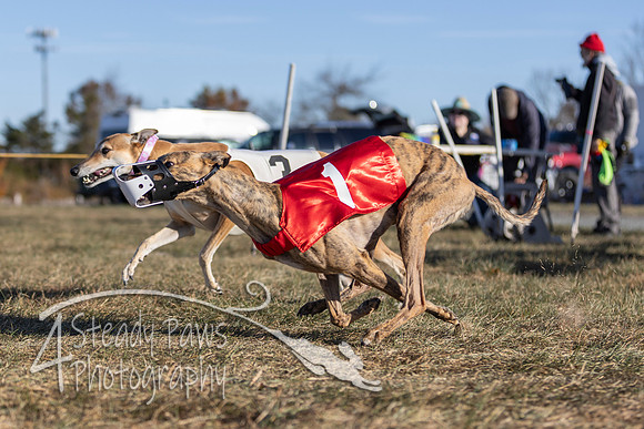 AutumnDerby20