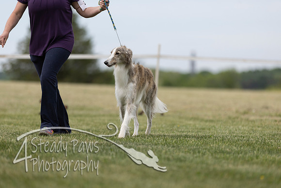 SSSShow1_363