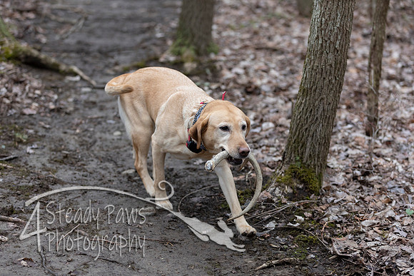 ShedHuntSat57