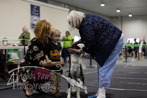 ECSShow19