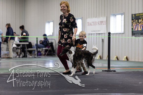 ECSShow5
