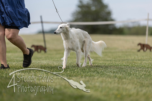 SSSShow1_436