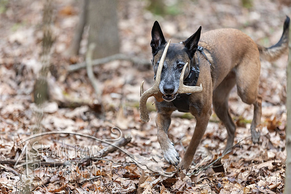 ShedHuntSat145
