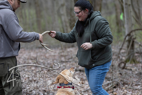 ShedHuntSat82