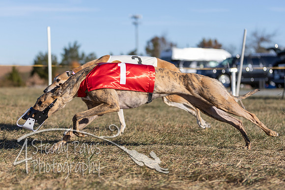 AutumnDerby21
