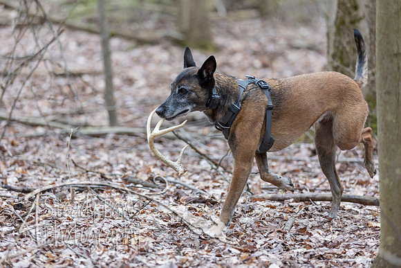 ShedHuntSat150