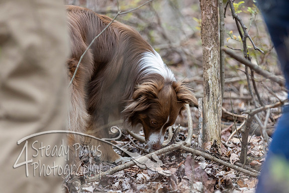 ShedHuntSat220