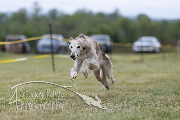 FastDash135