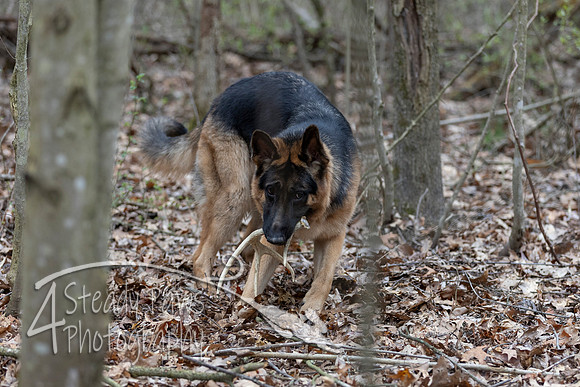 ShedHuntSat171
