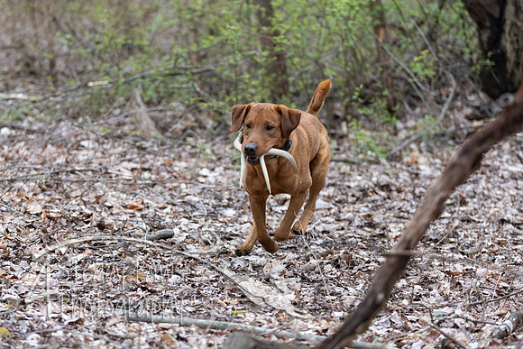ShedHuntSat183
