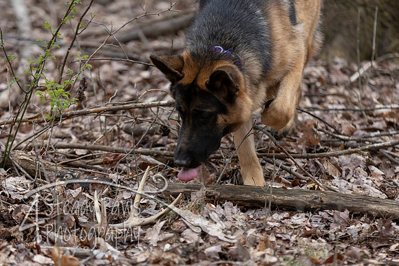 ShedHuntSat178