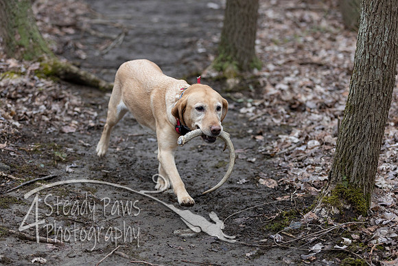 ShedHuntSat56